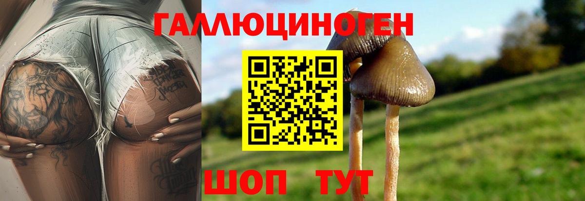 Псилоцибиновые грибы мухоморы  Вход с VPN  Красноармейск 